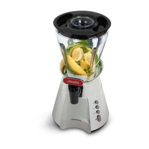 SB266 Kenwood Smoothie Maker